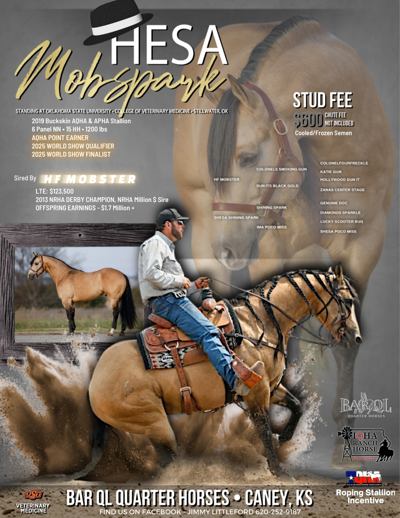 Hesa mobspark OSU CVM stud