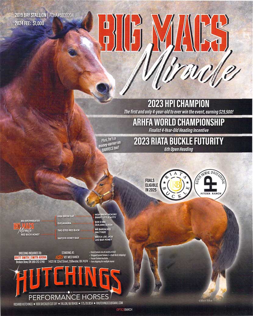 This is alt text for the image