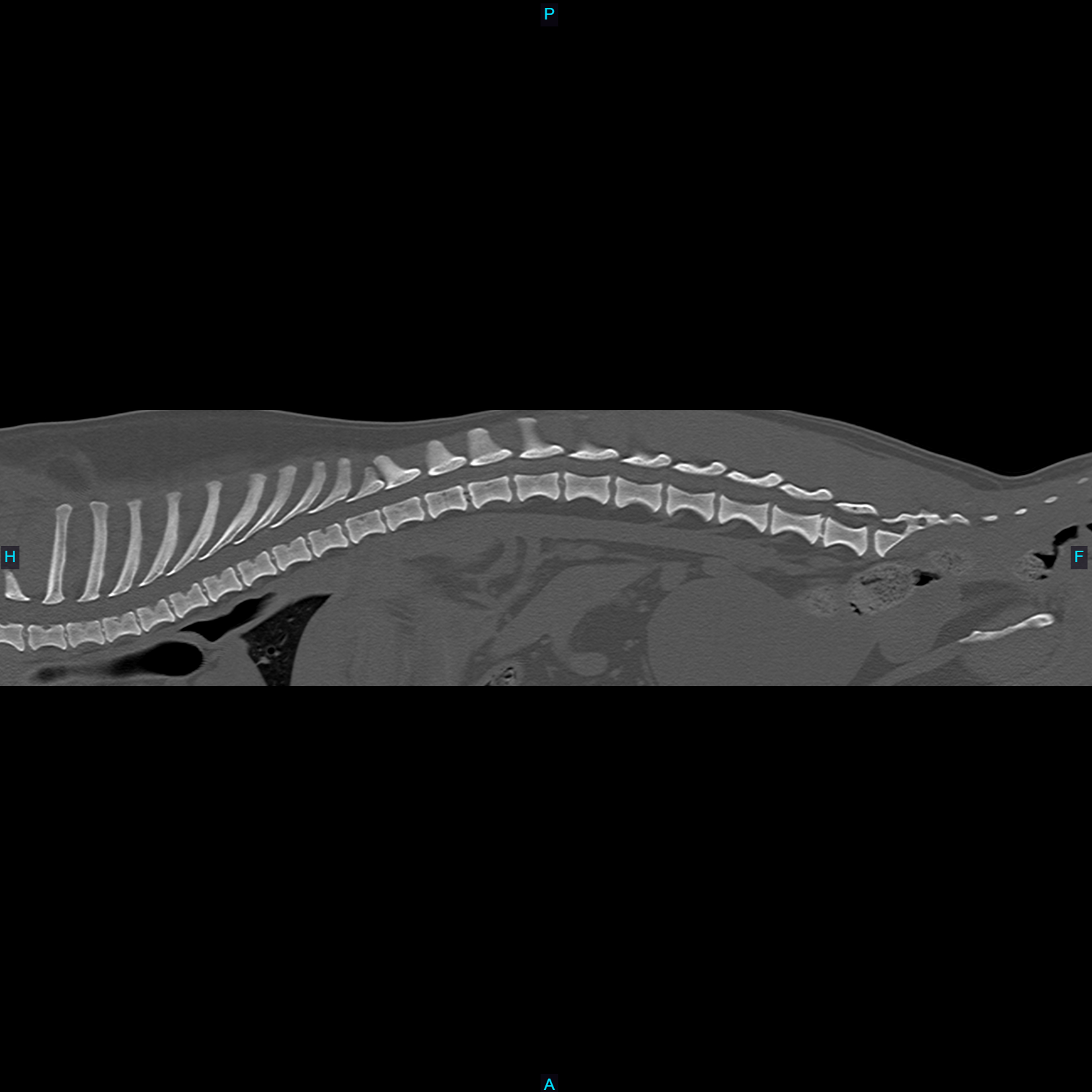 imagining euipment imagining equipment