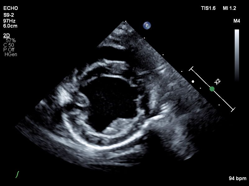 Echo website 2 Echo website 2