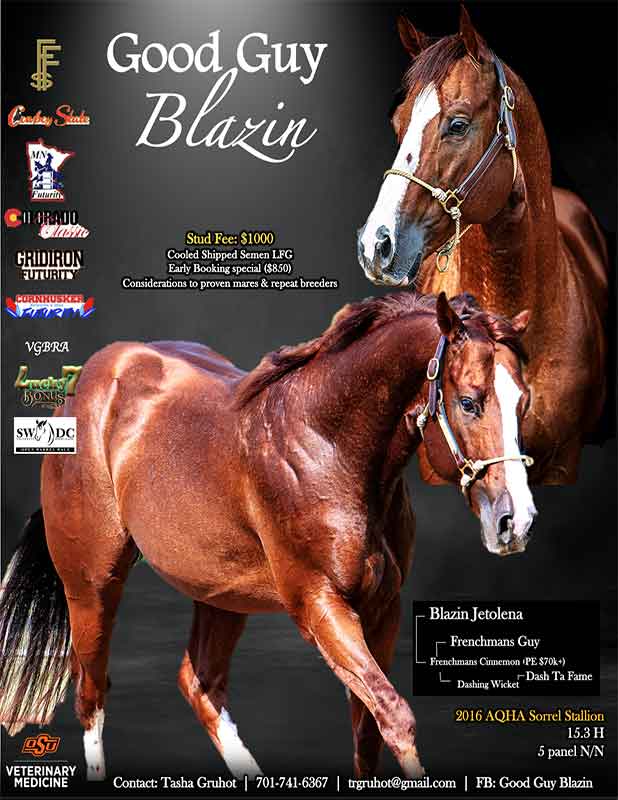 good guy blazin cvm stallion