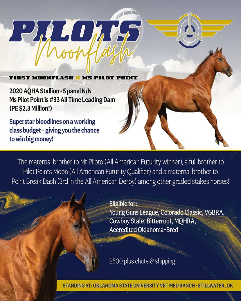 Pilots Mobflash CVM stud