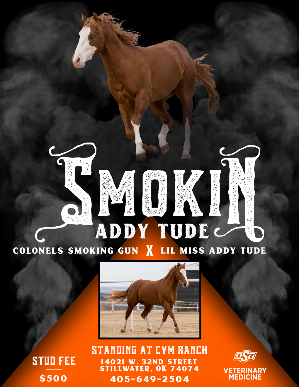 Smokin Addy Tude osu cvm stud