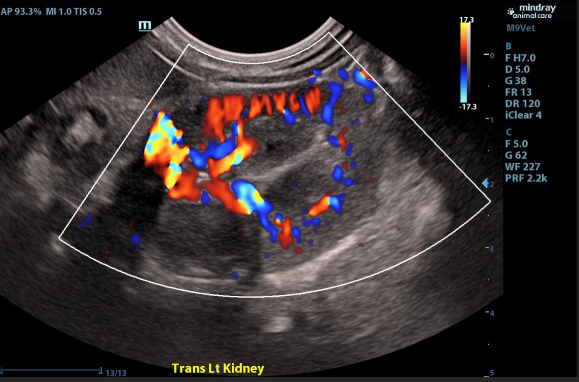 imagining euipment imagining equipment