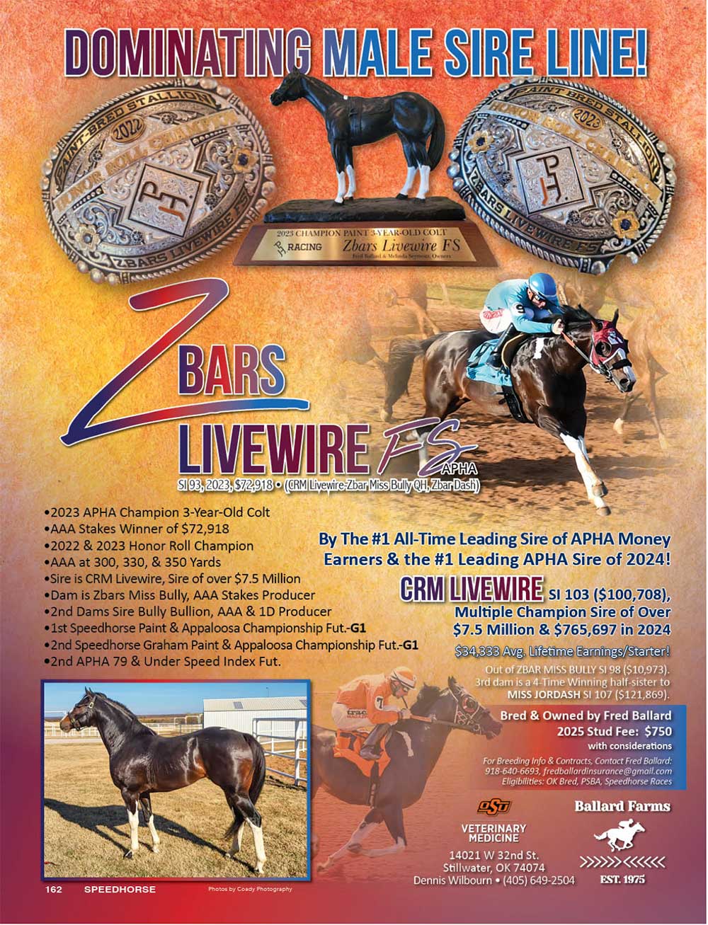 ZBarsilverwire cvm stallion